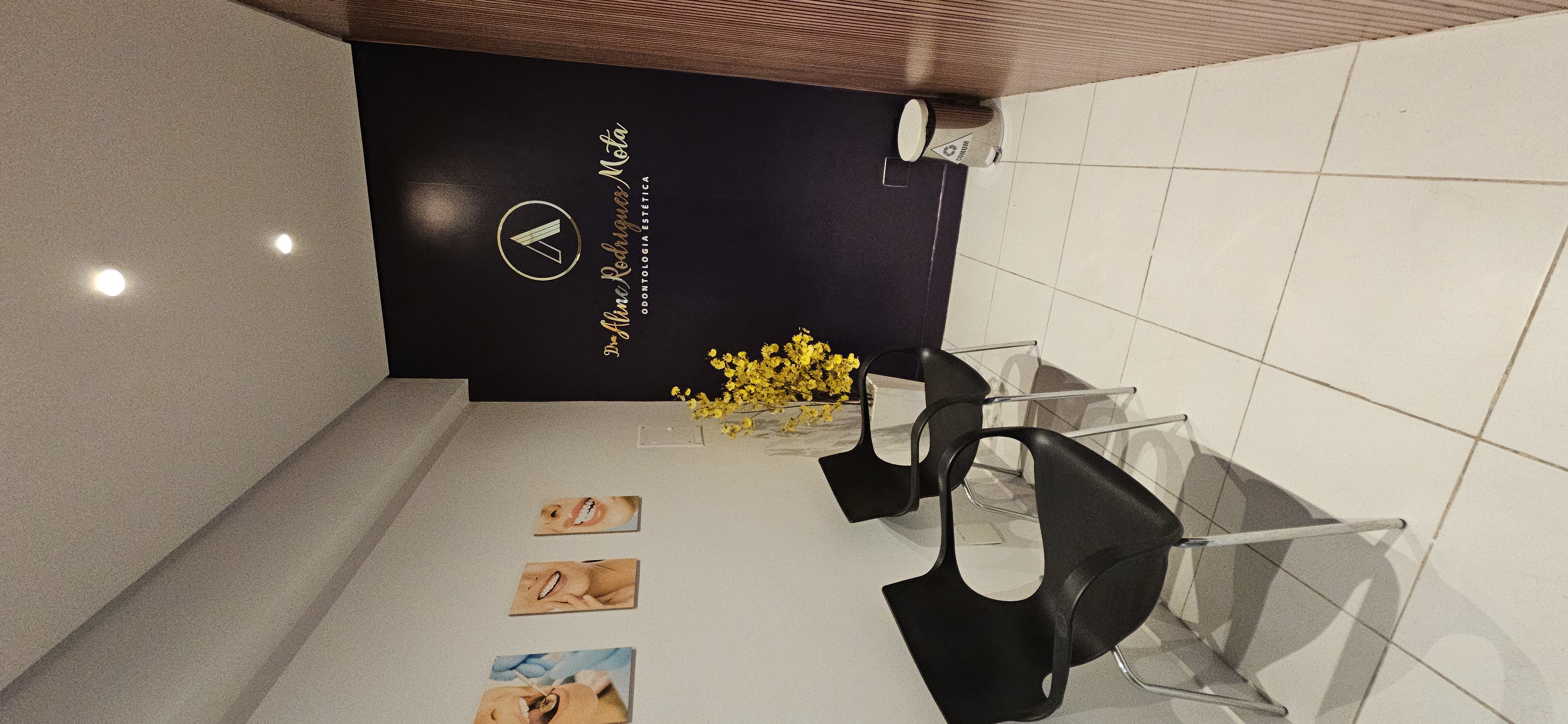 Foto 3 de Dra. Aline R. Mota - Odontologia Preventiva e Estética