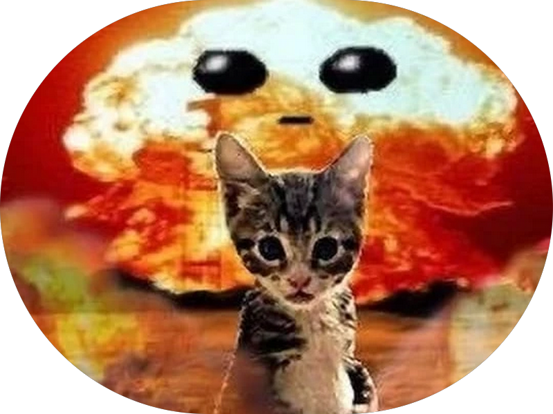 Foto de 306 Odontologia