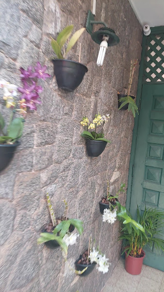 Foto 3 de A.F.O Odontologia e Estética | Dentista em Taboão da Serra | Clareamento Dentário | Implante dentário | Tratamento de canal