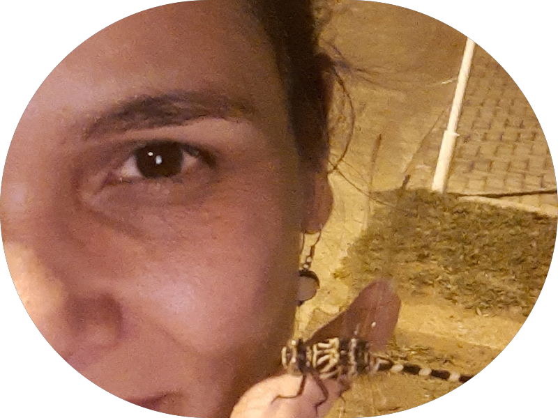 Foto 5 de Abate Odontologia