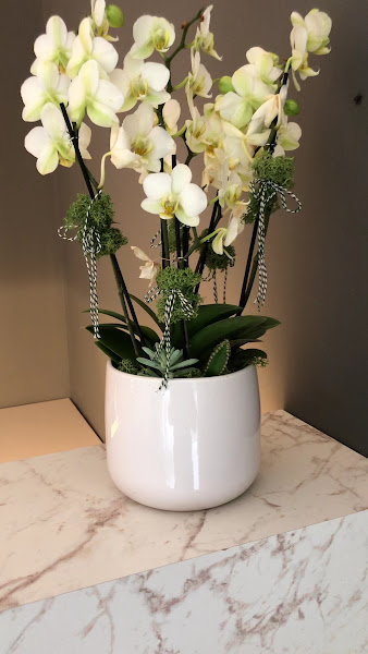 Foto 3 de Ábile Odontologia