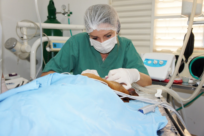 Foto 2 de AC Odontologia - São Carlos/SP