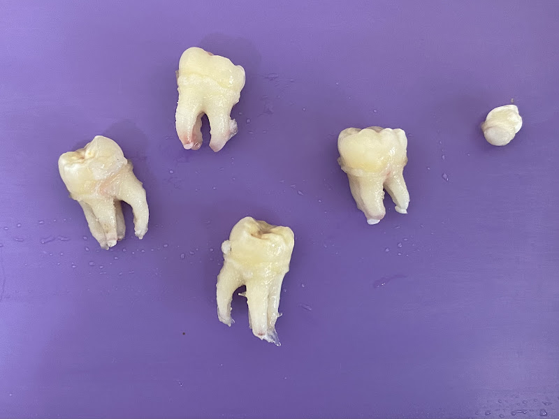 Foto 2 de Actual Consultório Odontológico