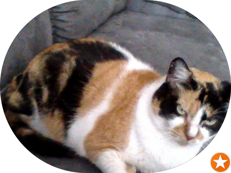 Foto 3 de Advance Centro Odontológico | Advance Odonto Sudoeste