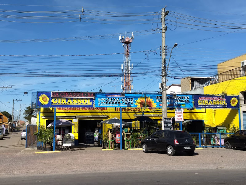 Foto 2 de Agropecuária Girassol