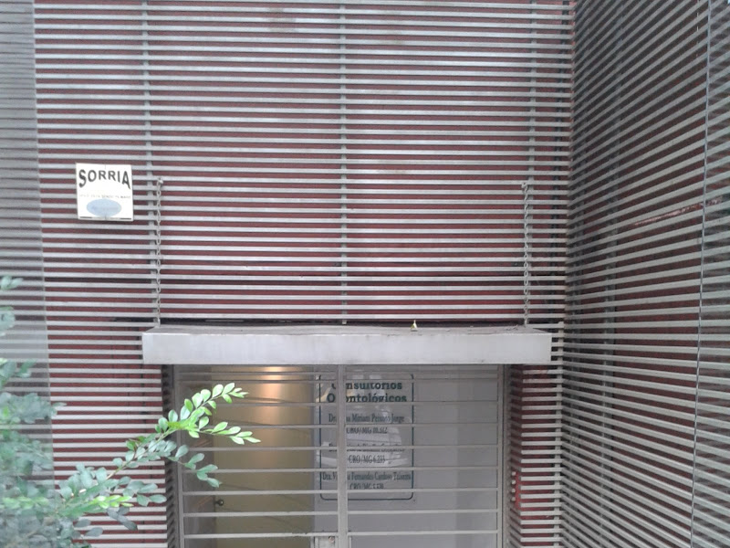 Foto 7 de Aira Odontologia