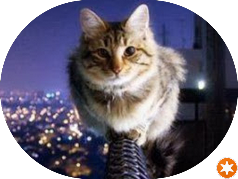 Foto 3 de AK Espaço Odonto