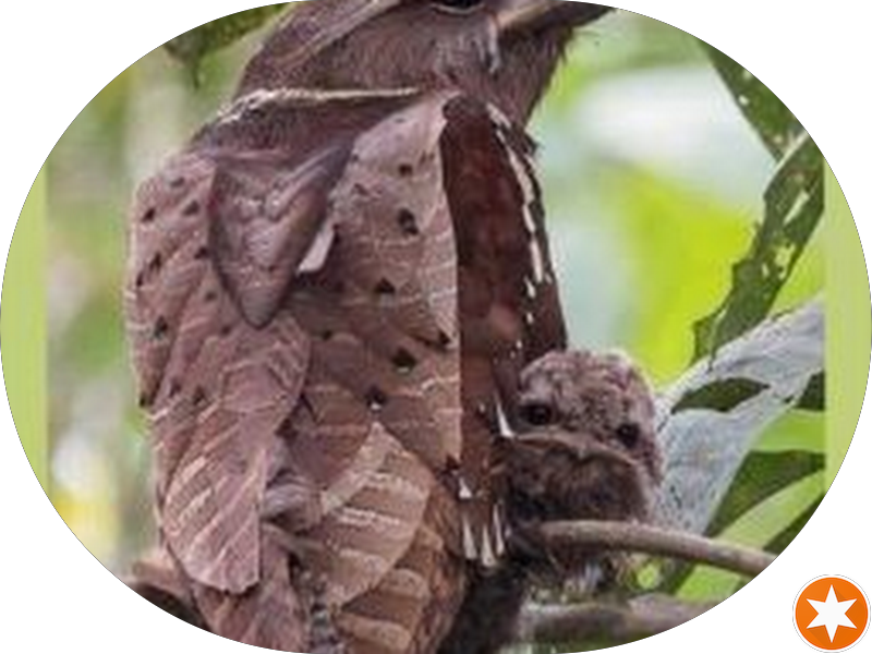 Foto 3 de AL Odontologia – Ortodontia, Prótese e Canal em Nova Iguaçu