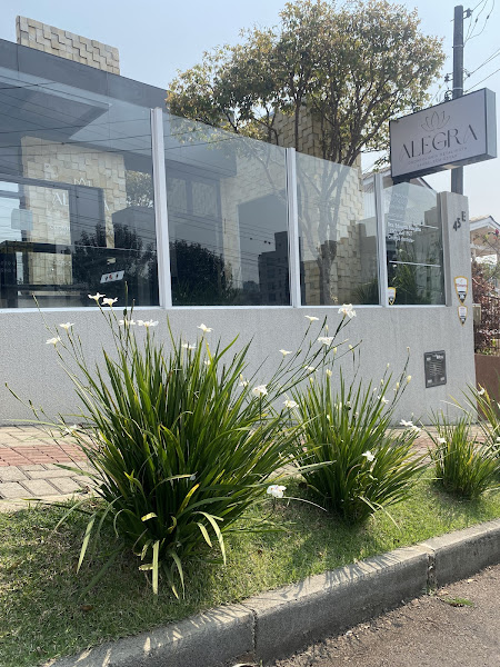 Foto 2 de Alegra - Odontologia Detalhista, Saúde e Bem-Estar