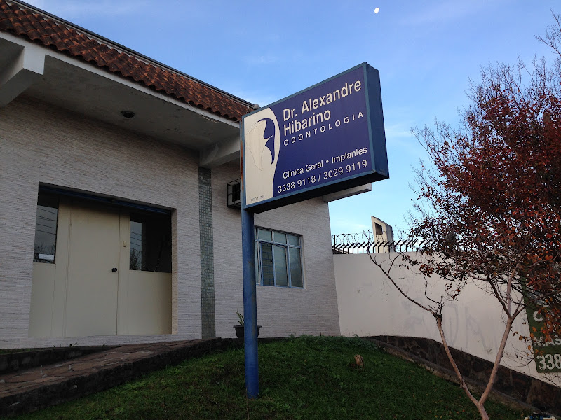 Foto 2 de Alexandre Hibarino