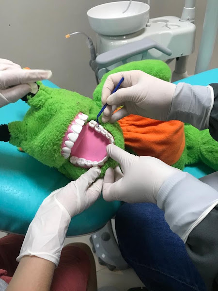 Foto 2 de ALFA SORRISO ODONTOLOGIA CURITIBA