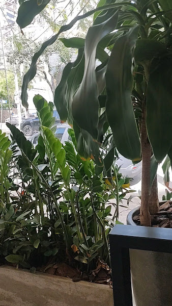 Foto 4 de Alianza Odontologia