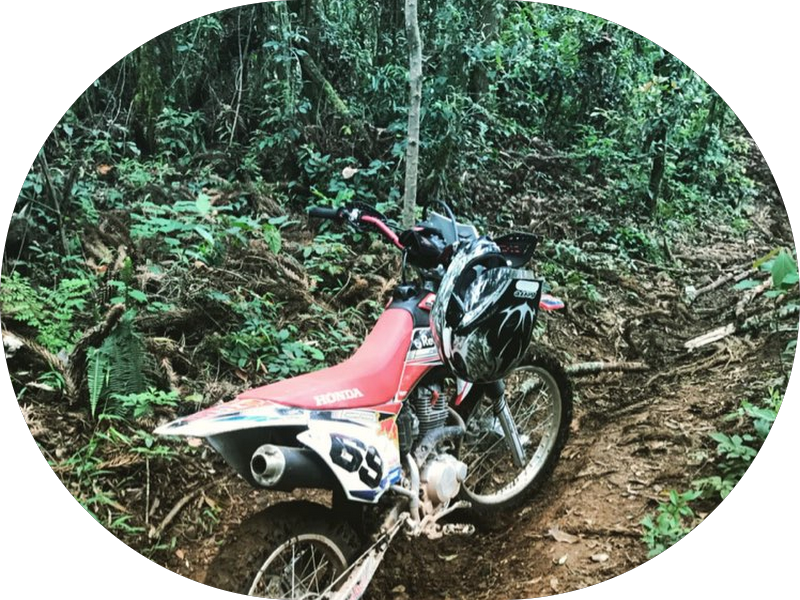 Foto 3 de Alpha Mares Odontologia Especializada