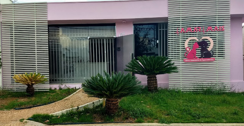 Foto 2 de Amar Mais Clinica Veteriária e Especialidades