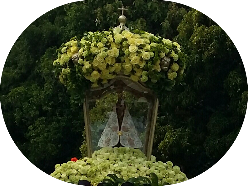 Foto 2 de Amazonia Odontologia