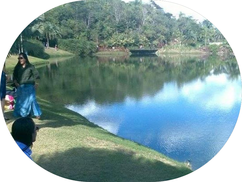 Foto 4 de Ami Odontologia