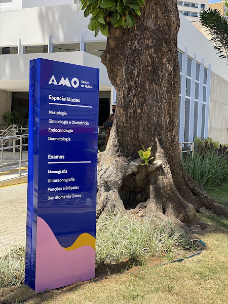 Foto 3 de AMO Saúde da Mulher - Barra