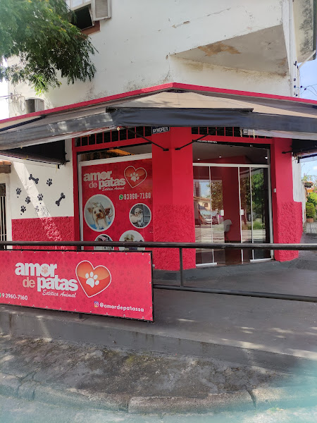 Foto 3 de Amor de Patas