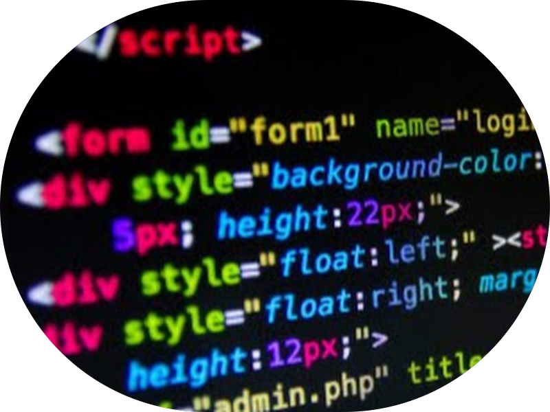 Foto 5 de ANA CLAUDIA COSTA SAMICO