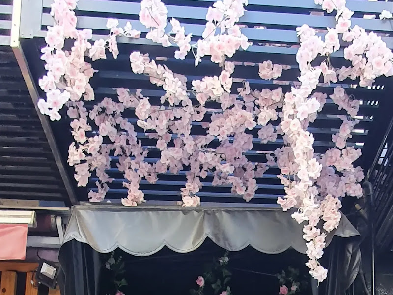 Ana Destri e Marcelo Sperling Odontologia