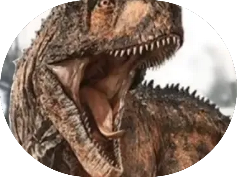 Foto 6 de Ana Kássia Odonto Estética - Facetas em Resina & Clareamento Dental