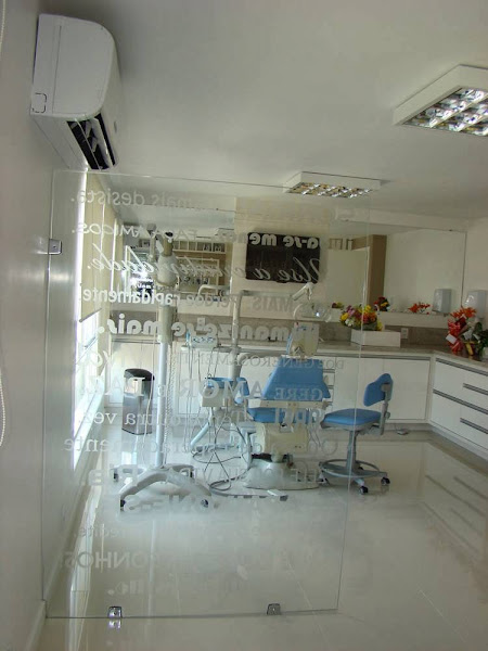 Foto 3 de Ana Lúcia Pizarro Teixeira Lauffer