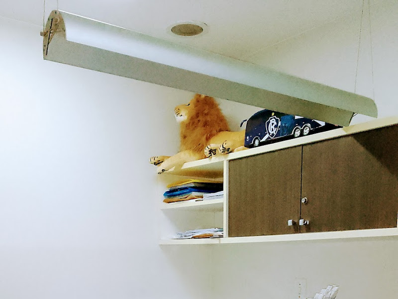 Foto de ANA PAULA DA CRUZ NOGUEIRA