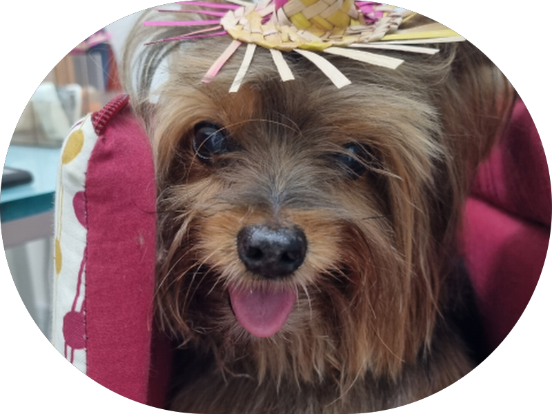 Foto de Andrade Rêgo Odontologia