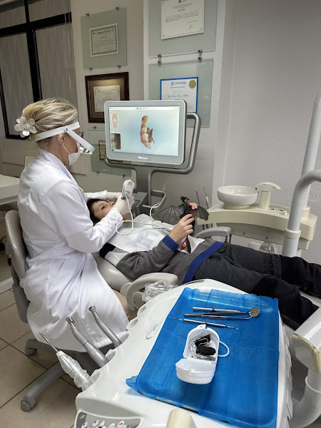 Foto 3 de Andrea Palma Ortodontia