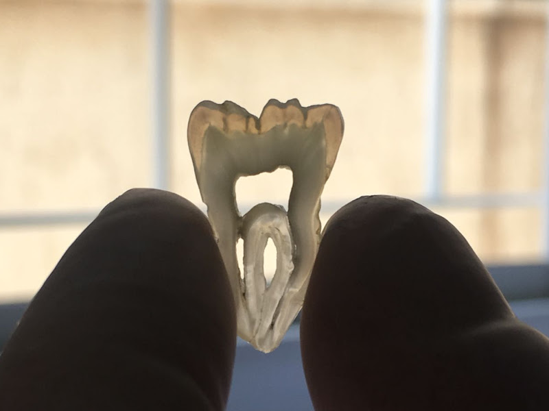 Foto de Andressa C. Bernardinelli Odontologia Clínica