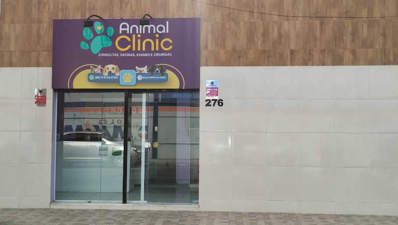 Foto 2 de Animal Clinic
