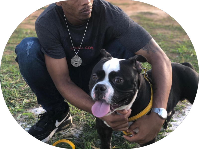 Foto 2 de AOL Clinica odontologica