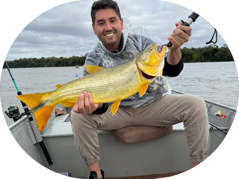 Foto 5 de AR odontologia