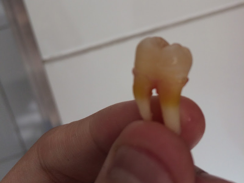 Foto 3 de Ara Odontoclínica