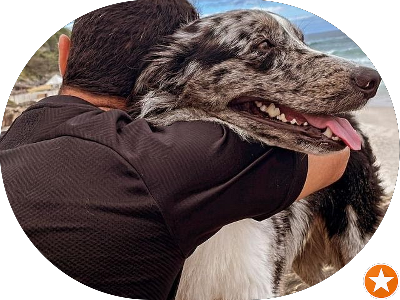 Foto 3 de Art-Clin Clínica Odontológica