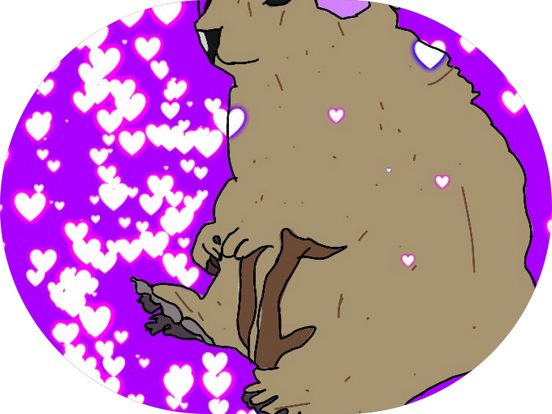 Foto 4 de Arta Odontologia