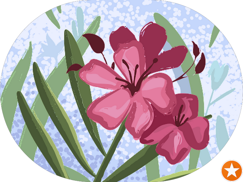 Foto 6 de Arte de Sorrir