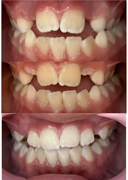 Foto 3 de Arte Odonto