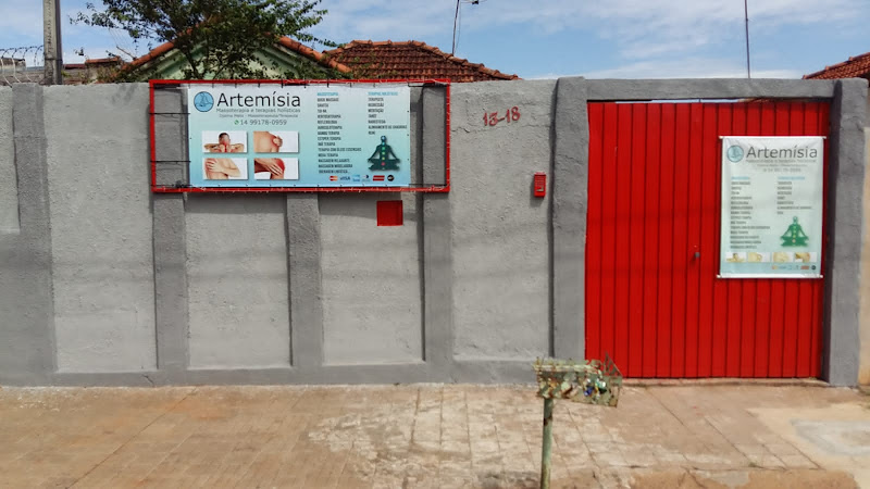 Foto 2 de Artemísia terapias DJ.