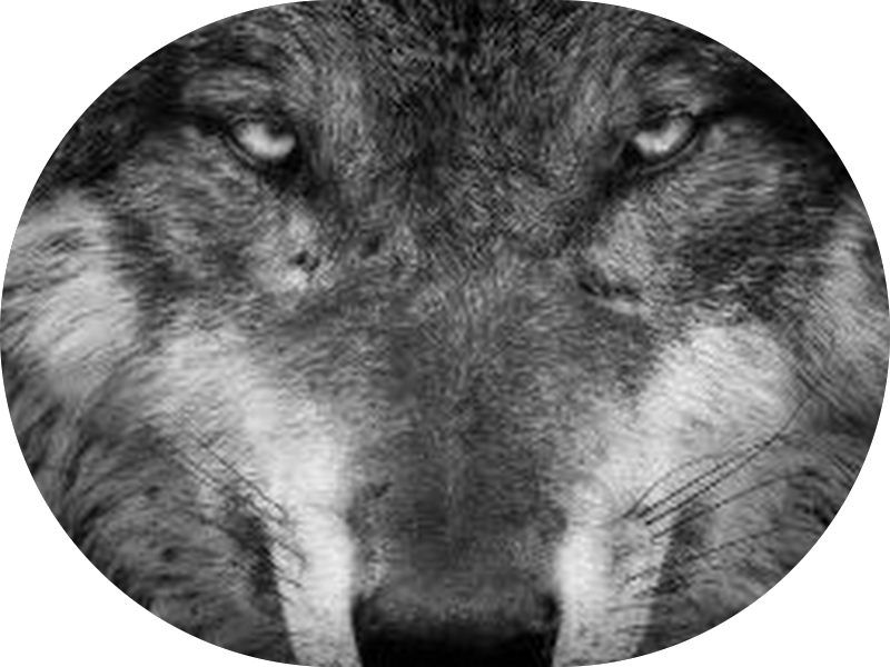 Foto 5 de Assis & Boff Odontologia