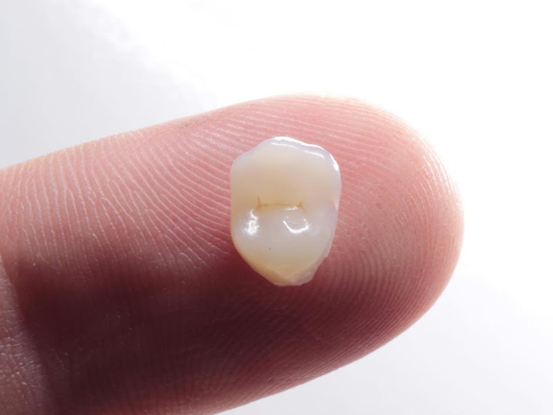 Foto 2 de AT Odontologia