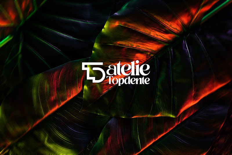 Foto 2 de Ateliê Top Dente