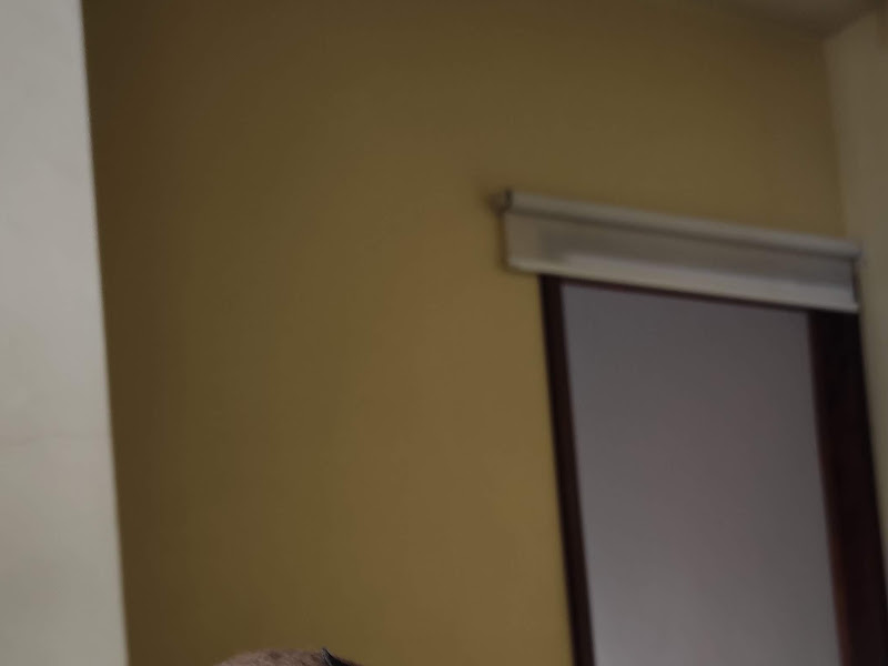 Foto de AtendiVet Santa Maria - RS