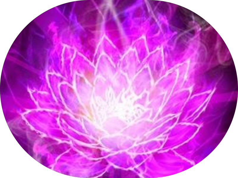 Foto 3 de Avanti Studio Oral