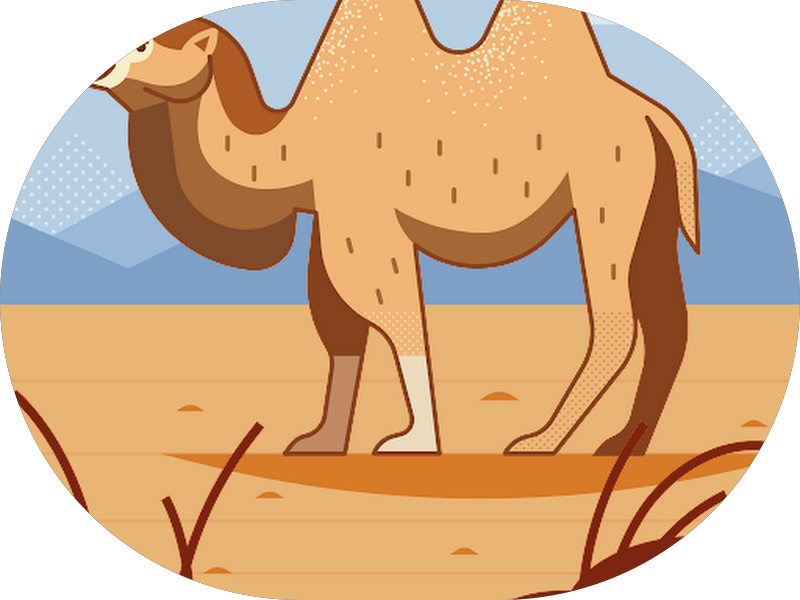 Foto 6 de Aviva Odontologia