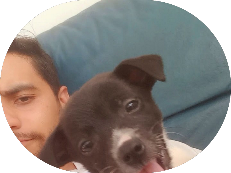 Foto 4 de AYA Odontologia Integrada