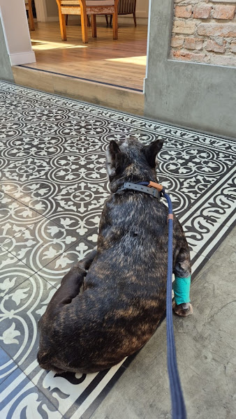 Foto 3 de BadiLab Cirurgias e Especialidades - Unidade II