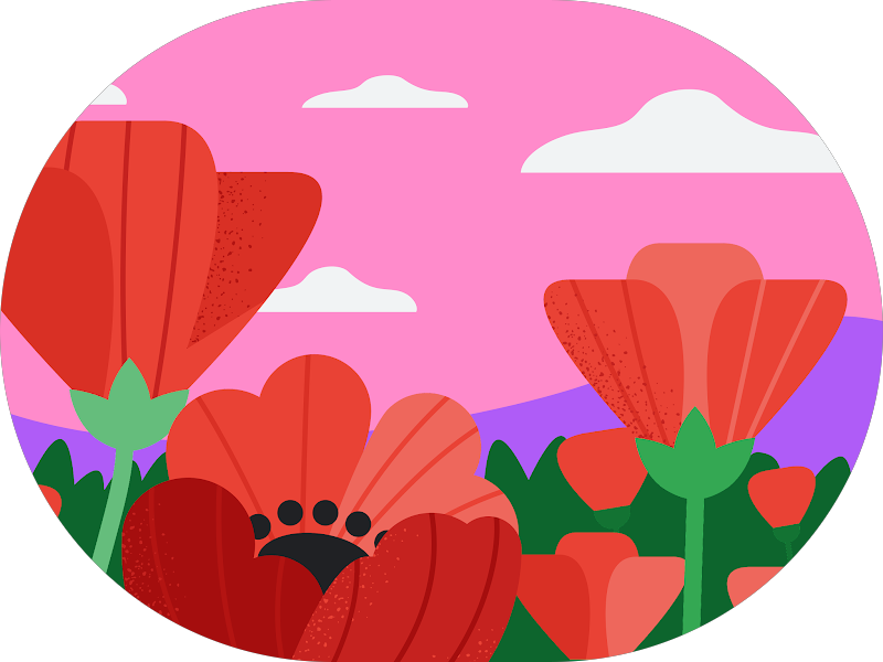 Foto 5 de Barbosa Odontologia - Implantes - Governador Valadares