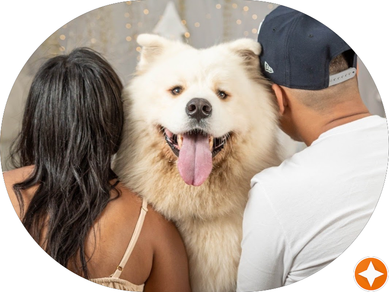 Foto 4 de BARRETO & MUNDIM