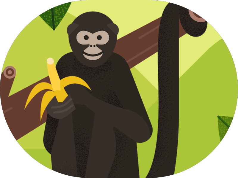 Foto 7 de Basílio Interclínica - Excelência em Odontologia